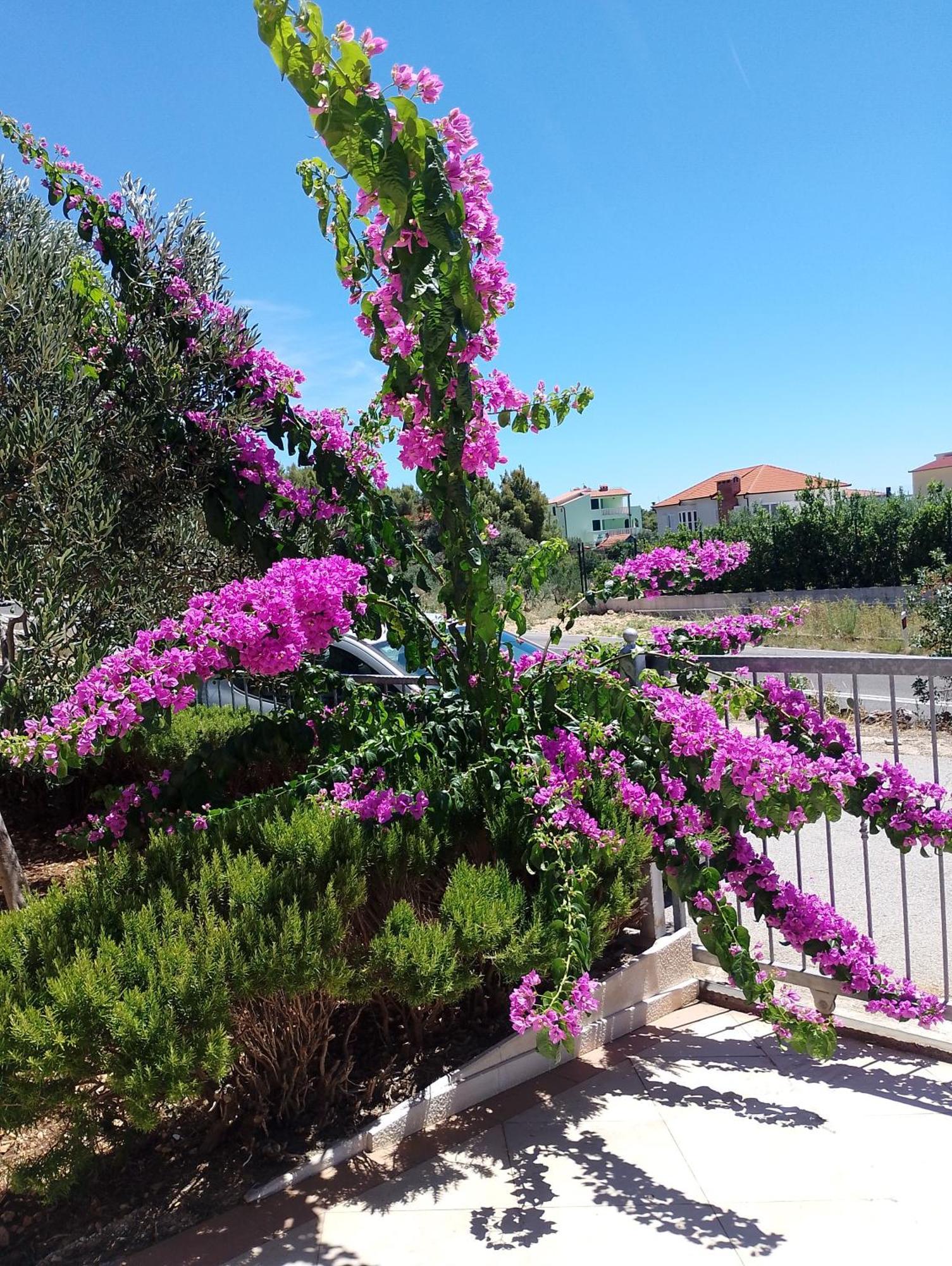 Lucky Star - 2 Bedroom, Sea View, Gated Yard, Free Parking, Bbq